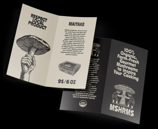 Leaflet & Poster